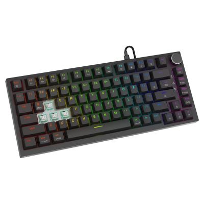8. SAVIO MAGNETIC KEYBOARD ASTRAL BLACK OUTEMU WHITE JADE RGB