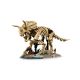 5. LEGO Jurassic World 77985 - Dinosaur Skeletons: Triceratops