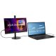 19. ASUS ZenScreen MB17AHG computer monitor 43.9 cm (17.3") 1920 x 1080 px Full HD Black