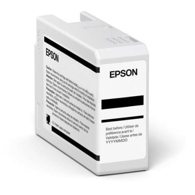 2. Epson Ink Gray (C13T47A700)
