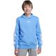 12. adidas Essentials Hoodie 225 Blue JN2424