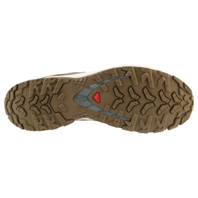 4. Salomon XA Pro 3D v9 GTX Lifelong L49296100 Brown 41 1/3