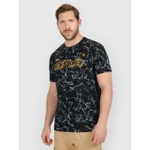 Men's regular printed T-shirt 4F 4FRAW25TTSHM3379-20A