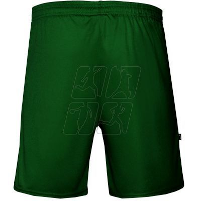 3. Zina Iluvio Senior match shorts M Z01929_20220201120132 GreenDark