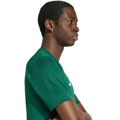 6. Men's adidas Mexico 26 Jersey green KH2301