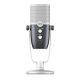 2. AKG ARA - Professional USB Condenser Microphone
