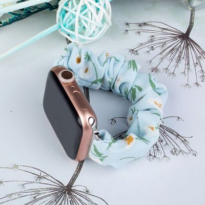 2. Fabric Apple Watch Band 42/44/45mm Strap Bracelet Elastic Band - Blue