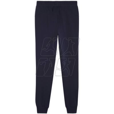 2. Puma Team Goal Casuals M 658598 06 pants