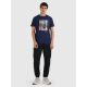 3. Men's regular printed T-shirt 4F 4FRAW25TTSHM3364-31S