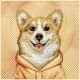 6. Nimmy Gentle Pets Series Dog MagSafe case for iPhone 17 Pro Max - orange