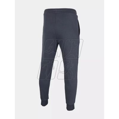 2. Trousers Outhorn M OTHAW22TTROM024-31S