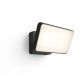 2. Philips Hue Welcome Outdoor Floodlight | Warm White