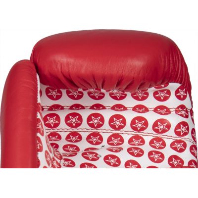 3. TOP TEN "FIGHT" RTT-2 Boxing Gloves 10 oz (WAKO APPROVED)