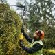 19. Hedge Trimmer 65cm, 54V DCMPH566N DEWALT