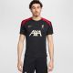 2. Nike Liverpool FC Strike SS Top M T-shirt FN9838-013