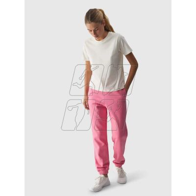 3. Trousers 4F W 4FWAW24TTROF0819-54S