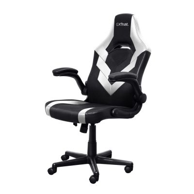 2. TRUST GXT703W RIYE GAMING CHAIR WHITE gaming chair