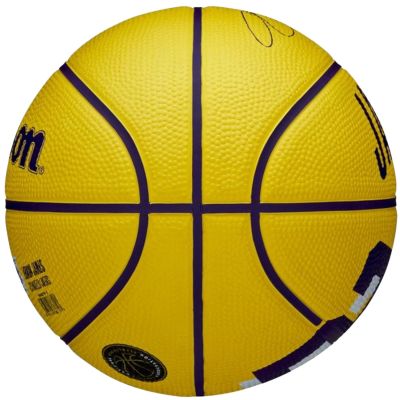 2. Wilson NBA Player Icon LeBron James Mini Ball WZ4027701XB Basketball