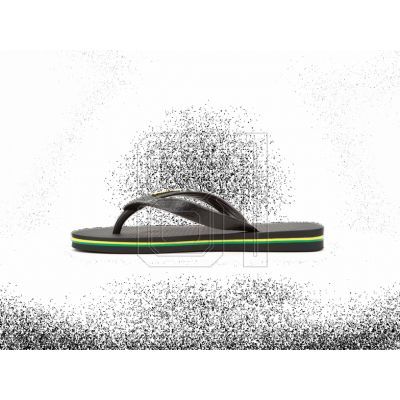 14. Ipanema Class Brazil Flip-Flops M 80415-22531