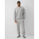 5. Men’s Sweatshirt 4F 4FRAW26TSWSM3303-27M