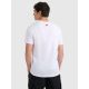3. Men's regular printed T-shirt 4F 4FRAW25TTSHM3256-10S