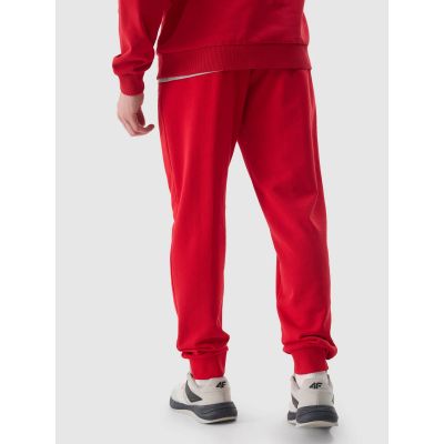 2. Trousers 4F M 4FWSS24TTROM603 61S