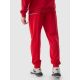2. Trousers 4F M 4FWSS24TTROM603 61S