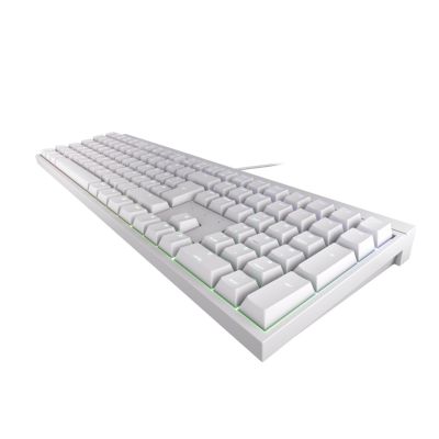 2. CHERRY MX 2.0S RGB keyboard with white backlight