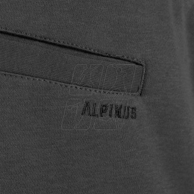 5. Alpinus Bajadilla M SI18149 shorts