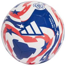 adidas FCWC Training Ball JD3826