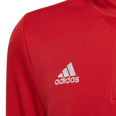 4. Sweatshirt adidas Entrada 22 Tr Top Jr H57550