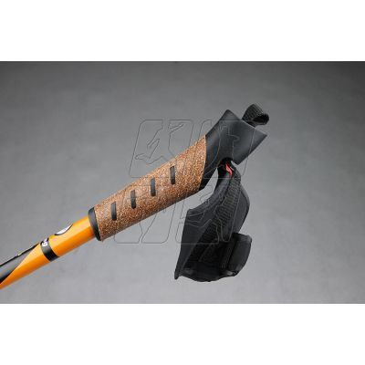 2. Trekking stick SM3-B12/C3