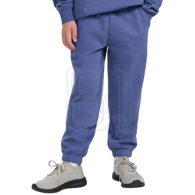 2. Trousers 4F CAS M1245 Jr 4FJWAW25TTROM1245 33S