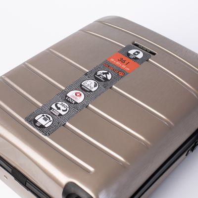 20. Iguana Murcia II Suitcase 36 92800479883