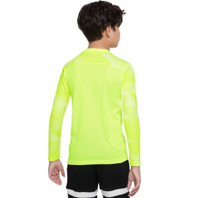 11. Nike Dry Park IV JSY LS GK Jr CJ6072-702 Jersey