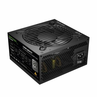 6. INCA IPS-1250XN power supply