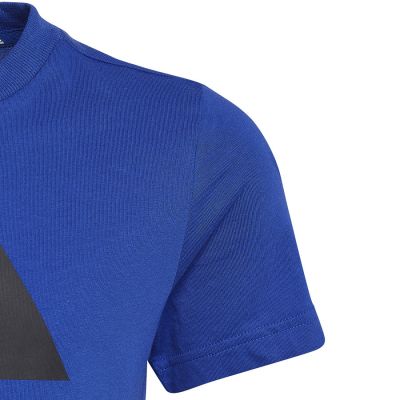 5. adidas Big Logo Tee Jr HP0840