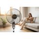 4. Esperanza TYPHOON EHF002KE pedestal fan (black)