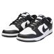 10. Nike Dunk Low Retro M DD1391 100 shoes