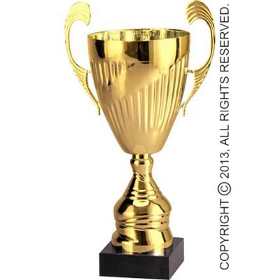 3. Gold metal cup TM 7098D