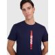 3. Men's regular printed T-shirt 4F 4FRAW25TTSHM3225-31S