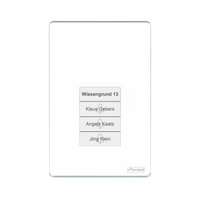 9. Auerswald TFS-Dialog 400 Access Control Terminal with Fingerprint Reader - White