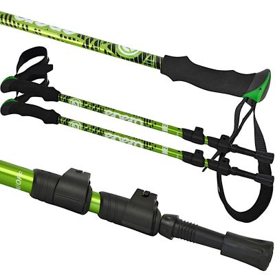 3. NORDIC WALKING TRAVEL POLES IN ENERO CASE