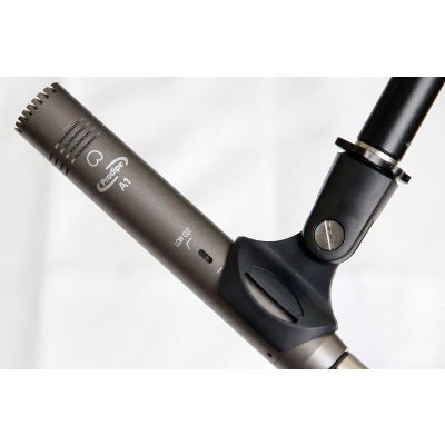 Prodipe A1 Duo - instrumental microphones