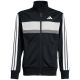2. adidas Seasonal Essentials Tiberio 3-Stripes Tricot Jr Tracksuit JY0509