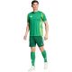 9. Adidas Tiro 24 M IS1410 shorts