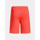 13. Under Armour M 1376955-877 Shorts