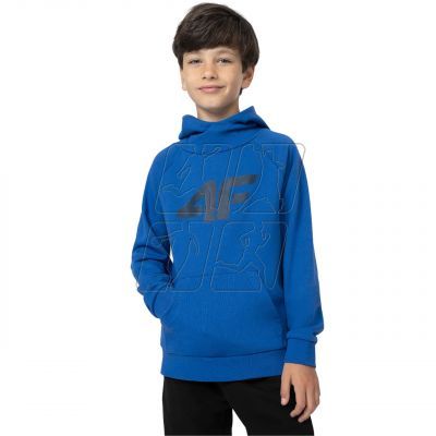 5. Sweatshirt 4F Jr. 4FJSS23TSWSM220 36S