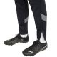 7. Puma teamFinal Training pants M 657380 03