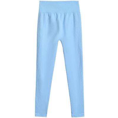 2. 4F FNK F420 women's leggings blue 4FWSS26TFTIF420 33S